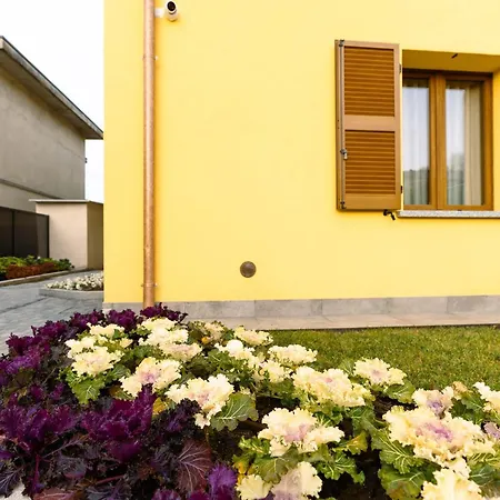 Monolocale Ciclamino - Cascina Da Rosa Tatil Evi *